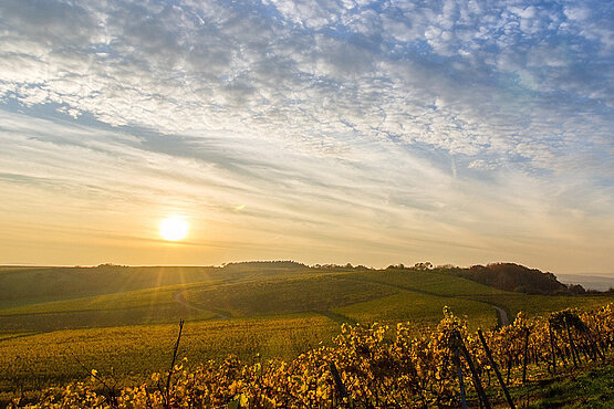 Ein Sonnenuntergang im Hintergrund einen hügeligen Herbstlandschaft