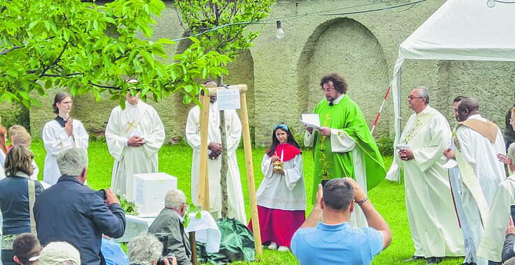 Fünf Pfarren – ein Baum KW23/2024
